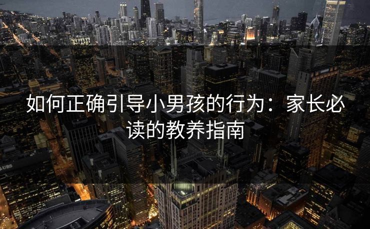 如何正确引导小男孩的行为：家长必读的教养指南