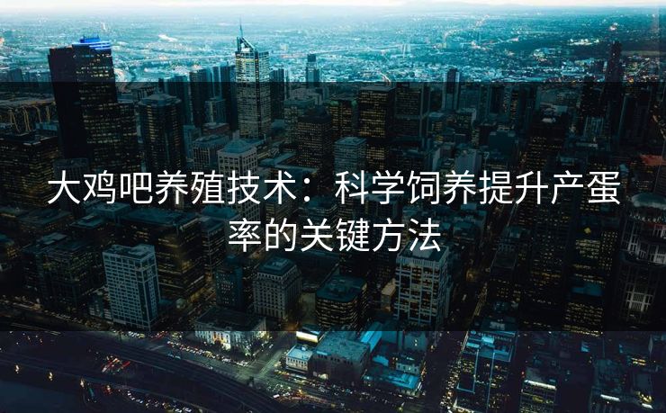 大鸡吧养殖技术：科学饲养提升产蛋率的关键方法