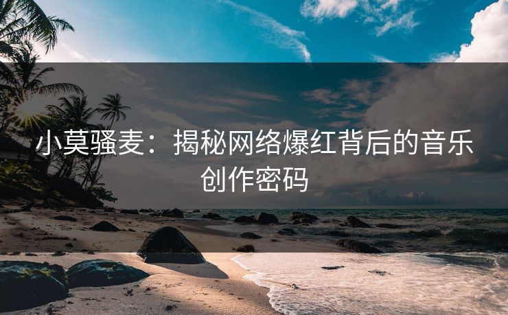 小莫骚麦：揭秘网络爆红背后的音乐创作密码  第1张
