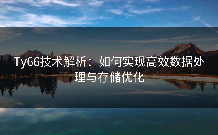 Ty66技术解析：如何实现高效数据处理与存储优化